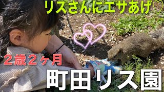 【町田リス園】リスにエサあげ／モルモットにエサあげ／２歳２ヶ月