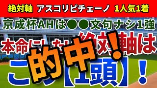 京成杯オータムハンデ2024【絶対軸1頭】公開！危険な人気馬は明確で配当妙味◎！秋の中山にかかる強力なバイアスは？