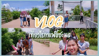 VLOG เที่ยวไร่กาแฟขี้ชะมด ก่อน...เปิดเทอม🏔 || เที่ยวไหนดีหว่าา