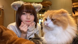 猫がモフモフ過ぎて尊いの極みwww