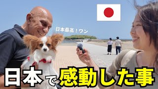 【海外の反応】日本で感動した事