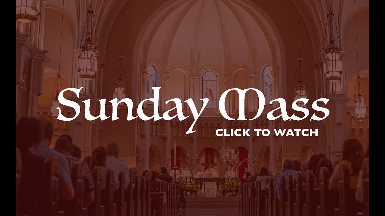 Catholic Sunday Mass Today Live Online - Sunday, 12th Sunday In ...