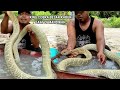 Suddenly the KING COBRA LIGHTNING RANGS WHILE WAS BATHED | SNAKE | KING COBRA | ADVENTURE MANDA