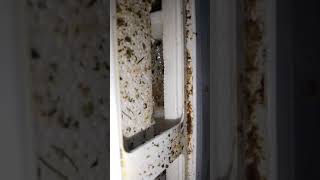 #samsung refrigerator air duct block #video