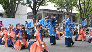 早稲田大学よさこいチーム東京花火・NHK前ストリート 2023年8月26日。