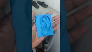 clay model of Ear#/காதின் வடிவம் செய்வது எப்படி?