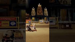 சிவராத்திரி ஶ்ரீ வழி விடு முருகன் கோவில் இராமநாதபுரம் #murugantemple #ramnad