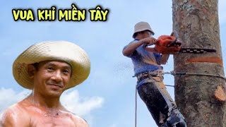 Thợ cưa lắc đầu bỏ về gặp cây khó còn Vua khỉ và để tử sẽ xử lý như thế nào. Cut down difficult tree