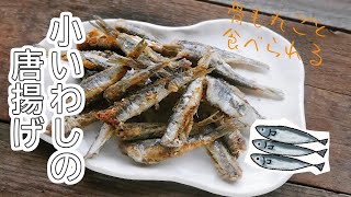 つまみ食い止まらぬおいしさ【小いわし唐揚げ】