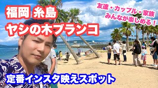 福岡定番インスタ映えスポット 糸島 ヤシの木ブランコ