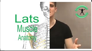 Latissimus Dorsi: Refresh your anatomy knowledge with Lee Dart