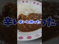 金曜日じゃないけど海自カレーの日