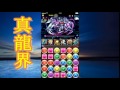 【パズドラ】〜降臨チャレンジ！【ノーコン】真龍界〜