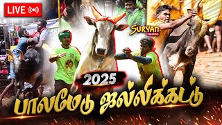 Jallikattu 2025 |  Palamedu Jallikattu | அனல் பறக்கும் பாலமேடு ஜல்லிக்கட்டு Live உங்கள் Suryan FM-ல்