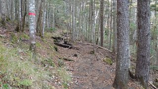 富士山 須走口 五合目 小富士に向かう遊歩道のようす　10月