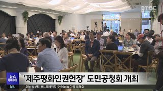 '제주평화인권헌장' 도민공청회 개최