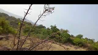 CHANDOLI DAM...And RAIN...