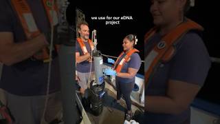 The #LebuusVoyage team shows us how they collect and process #ocean water for collecting #eDNA