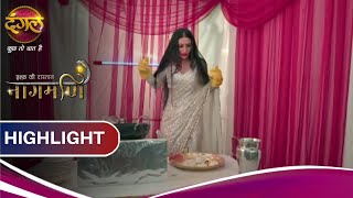 Ishq Ki Dastaan Naagmani | Mohini बना पाएगी laddu? | Highlights| Dangal TV