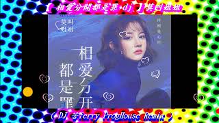 【 相愛分開都是罪 dj 】莫叫姐姐 ( DJ 苦ferry ProgHouse Remix )