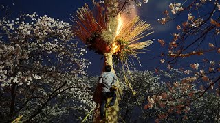 平成31年  南津田 藺田祭礼 松明奉火 八王子神社 近江八幡の火祭り