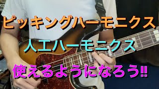 【ベースレッスン / ハーモニクス講座♯2】ピッキングハーモニクスと人工ハーモニクスを使おう!! Japanese Bass Lesson