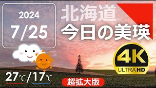 今日のびえい！【超拡大版】北海道-美瑛町の風景を毎日発信中｜2024.7.25.