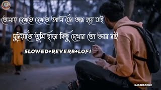 তোমায় দেখতে দেখতে আমি যেন অন্ধ হয়ে যায় Slowed+Reverb+Lofi.Amar hridoy ekta Ayna।🌼🥀