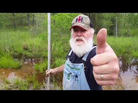 How to CATCH CRAWFISH for Fish Bait How to CATCH CRAWFISH for Fish Bait
