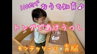 モンテッソーリ×育脳【手作り知育おもちゃ】１歳２歳３歳　トング、スプーン、お箸のあけ移し♪100均ですぐに簡単にできるおうち知育遊び！知育玩具・知育動画