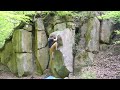 neues vom basalt episode 6 bleaustone