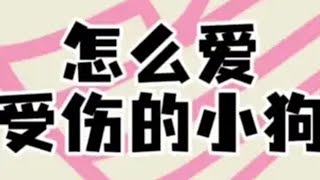 怎么爱一只受过伤的小狗恋爱情侣狗狗轻漫计划冷知识