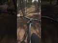 shale trail pov knox mountain