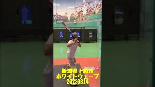 小学4年生KOUEI　新潟県上越市ホワイトウェーブ　20230814　#shorts #action3 #baseball #dji