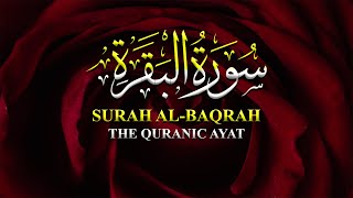 Surah Baqarah (The Cow) | English Translation | سورة البقرة 02 | Beautiful Quran Recitation