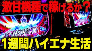 【超絶エナ機】エヴァンゲリオンで1週間ハイエナ生活したらいくら稼げるのか？