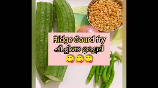 48.😋പീച്ചിങ്ങ ഉപ്പേരി 😋👌Ridge Gourd Fry😋😋