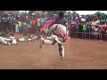 XIGUBU XA KA MPHAMBO