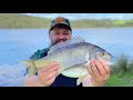 bream fishing tasmania huge southern black bream