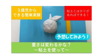 【STEAM保育】重さは変わらない？粘土を使って～STEAM教育をもっと幼児期に！～