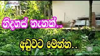 නිදහස් තැනක් අඩුවට මෙන්න .podi malli land/gampaha awata idam/gampaha land/house sale/land sale