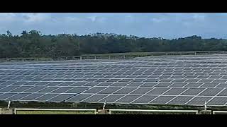 LARGEST SOLAR PANEL IN NEGROS OCCIDENTAL #solar #amazing #viralvideo #satisfying #negrosoriental