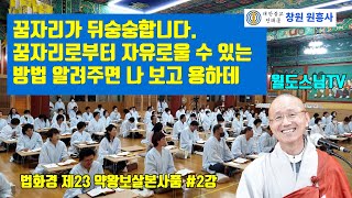 꿈자리가 뒤숭숭합니다 꿈자리로부터 자유로울 수 있는 방법 알려주면 나 보고 용하데