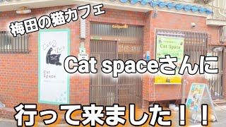 Cat spaceさんに行ってきました！