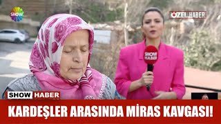 Kardeşler arasında miras kavgası!