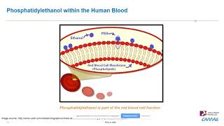 Fully Automated Dried Blood Spot Analysis of Phosphatidylethanol – An Introduction