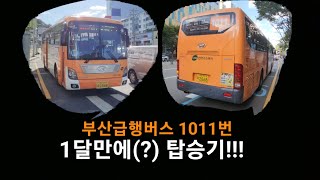 부산급행버스 1011번 탑승기