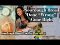 How to Make Sourdough Bread for Beginners/It’s Easier Than You Think/Encouragement & Motivation