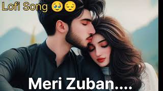 ✨🥹 Meri Zuban || Lofi Songs|| B Praak Song|| Moh Movie || ❤️🙏