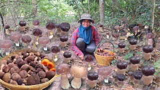 หมานเต็มต่า!!เก็บเห็ดผึ้งขมดงดอกตูมดอกบาน ที่บ้านคะนา ต.ตาตุม อ.สังขะ จ.สุรินทร์ 20/ต.ค/67